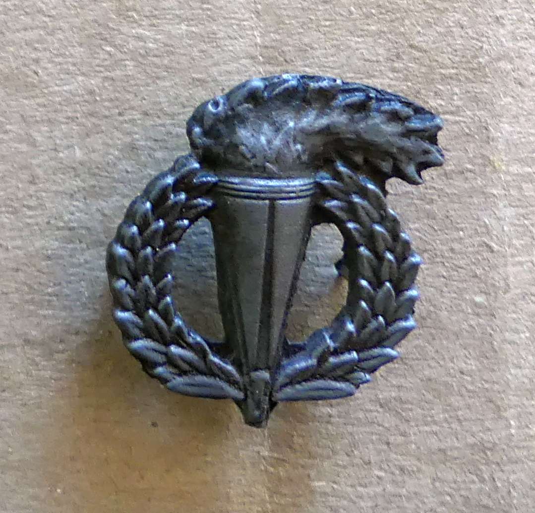 Set of 2 SANDF Pathfinder Proficiency badges  - No PF209 Full & Mini Size