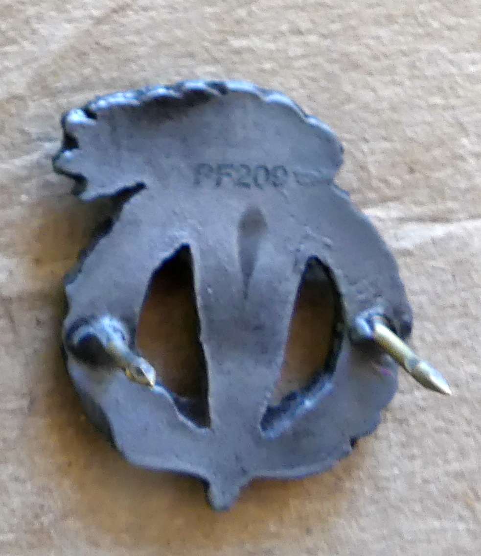 Set of 2 SANDF Pathfinder Proficiency badges  - No PF209 Full & Mini Size