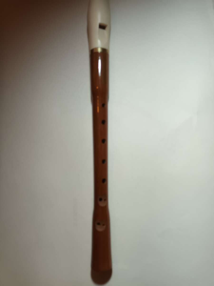 Horner Germany Musical Mouth Piece