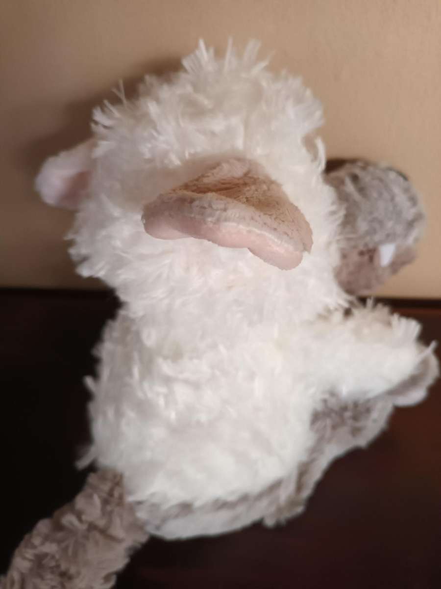 Wolf in Sheep's Clothing Soft Toy
