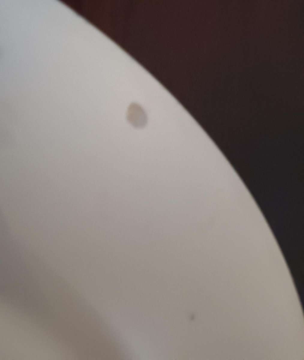 Victoria Blue and White Willow Plate