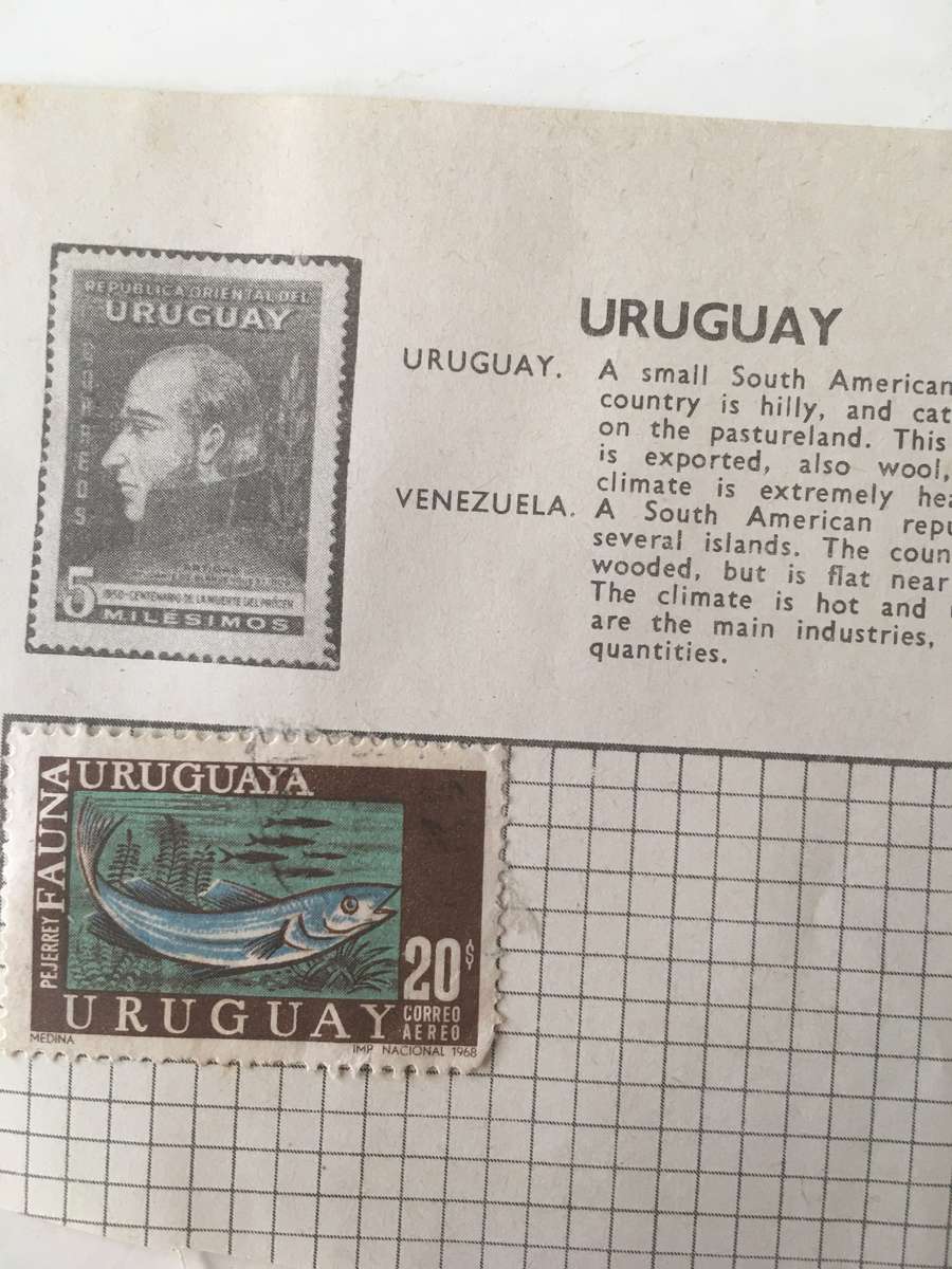 URUGUAY  1 MOUNTED STAMP