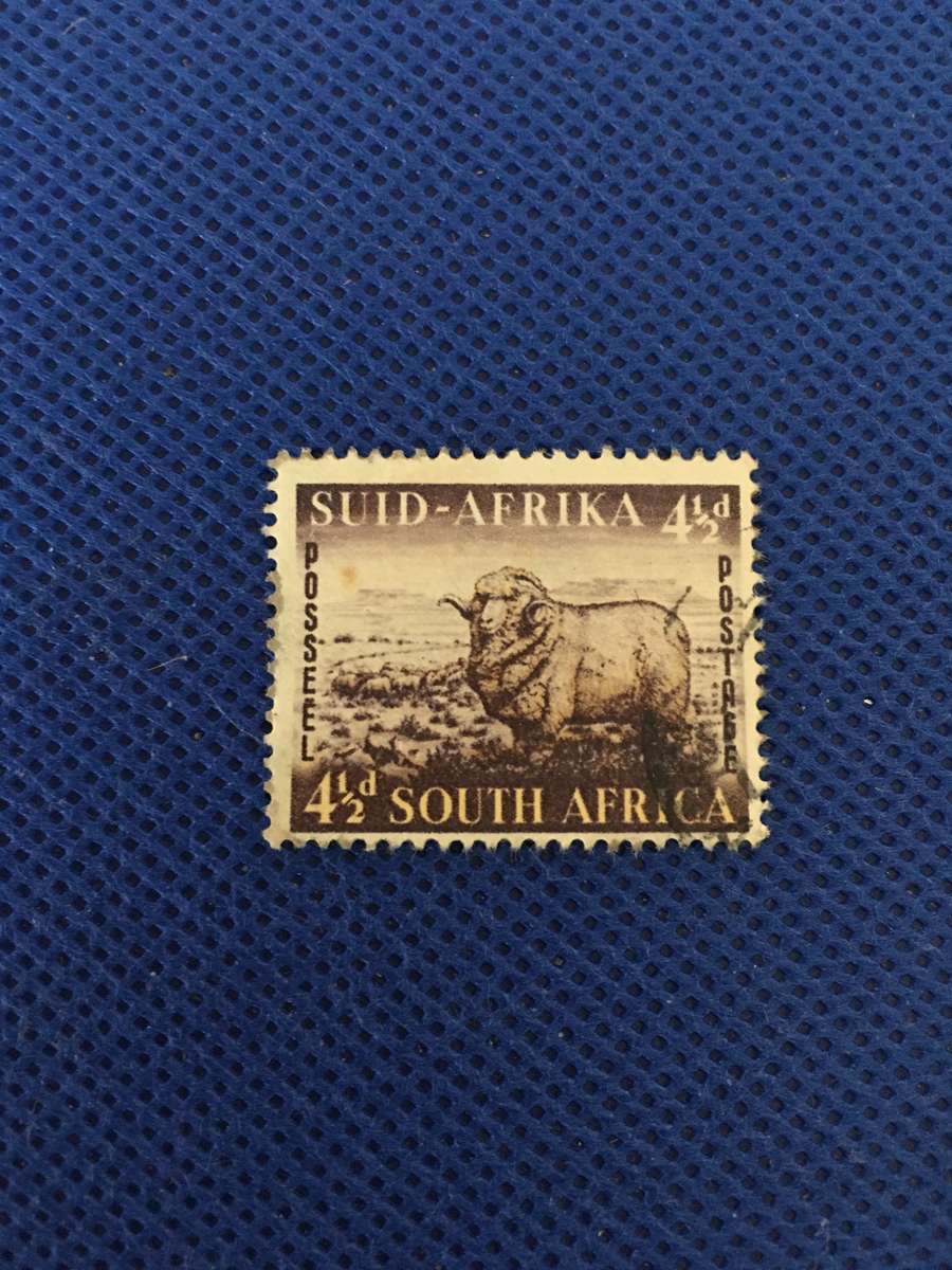 SOUTH AFRICA - USED MERINO SHEEP  4 1/2D  POSTAGE STAMP