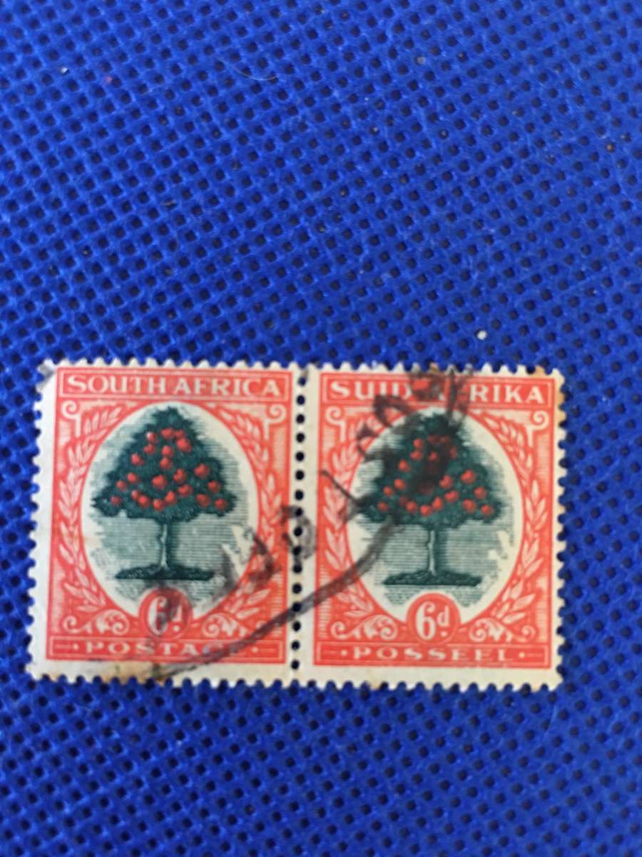 SOUTH AFRICA - 6D ORANGE TREE PAIR OF STAMPS