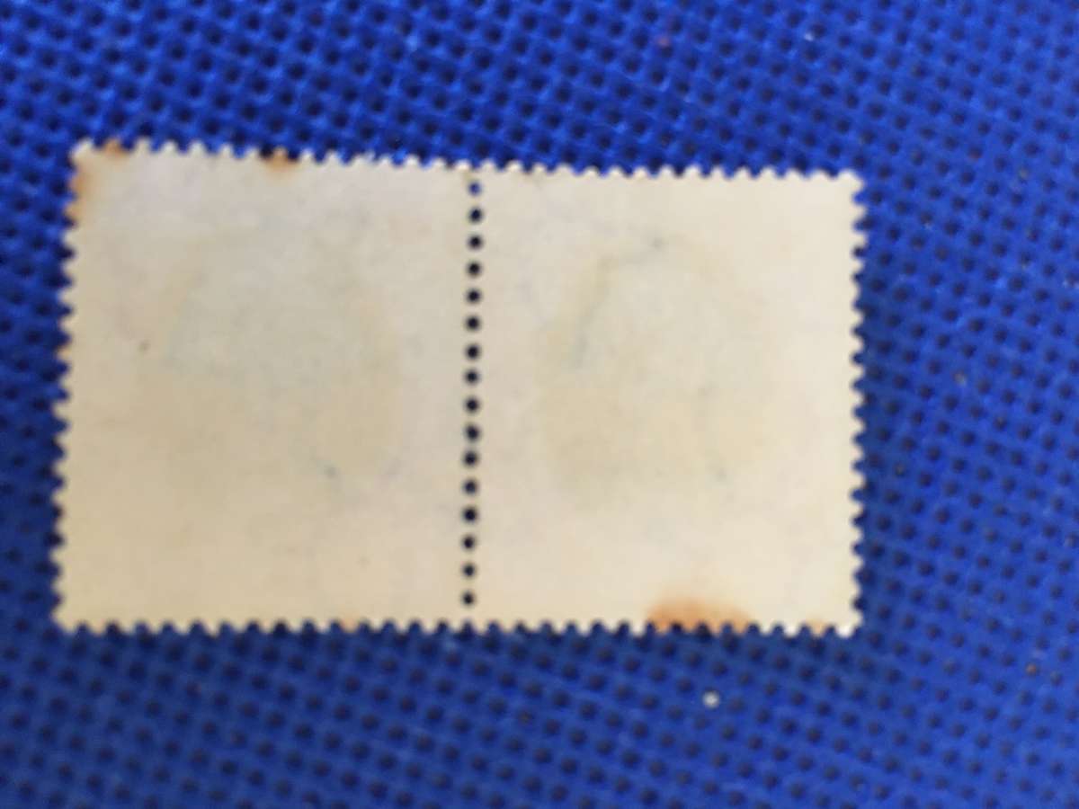 SOUTH AFRICA - 6D ORANGE TREE PAIR OF STAMPS