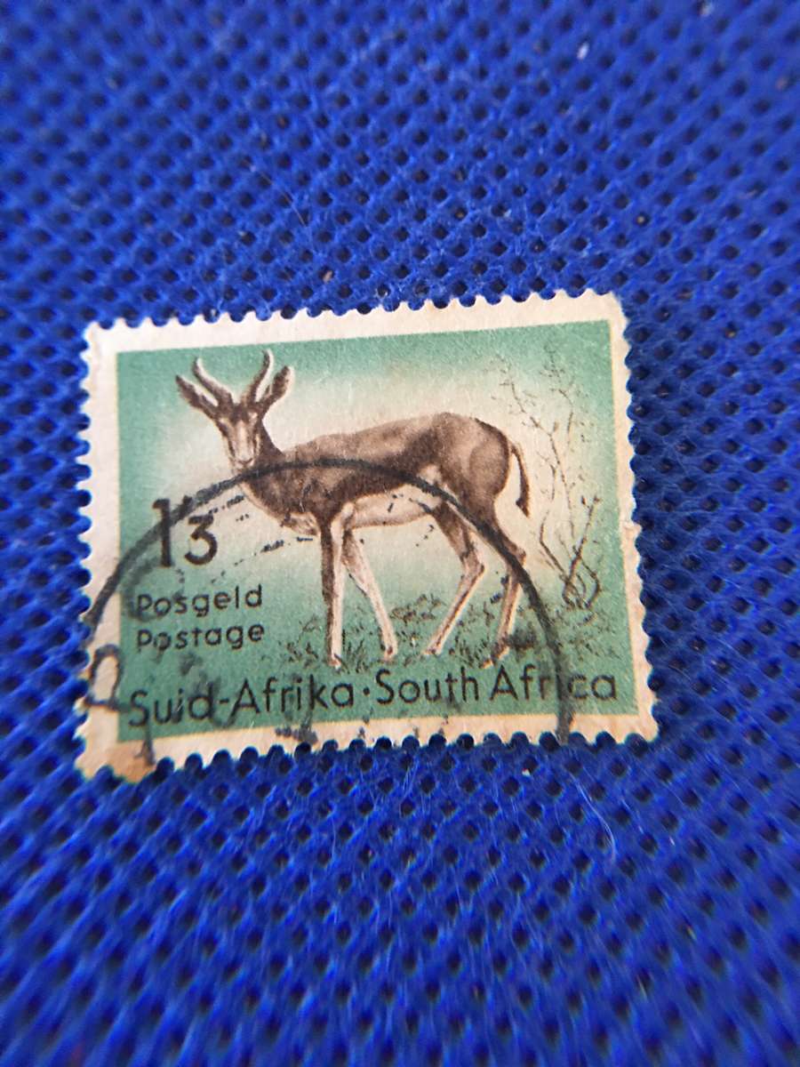 SOUTH AFRICA - USED SPRINGBOK 1.3 POSTAGE STAMP 1961