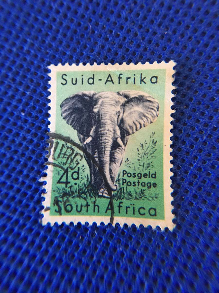 SOUTH AFRICA 4D USED STAMP - ELEPANT