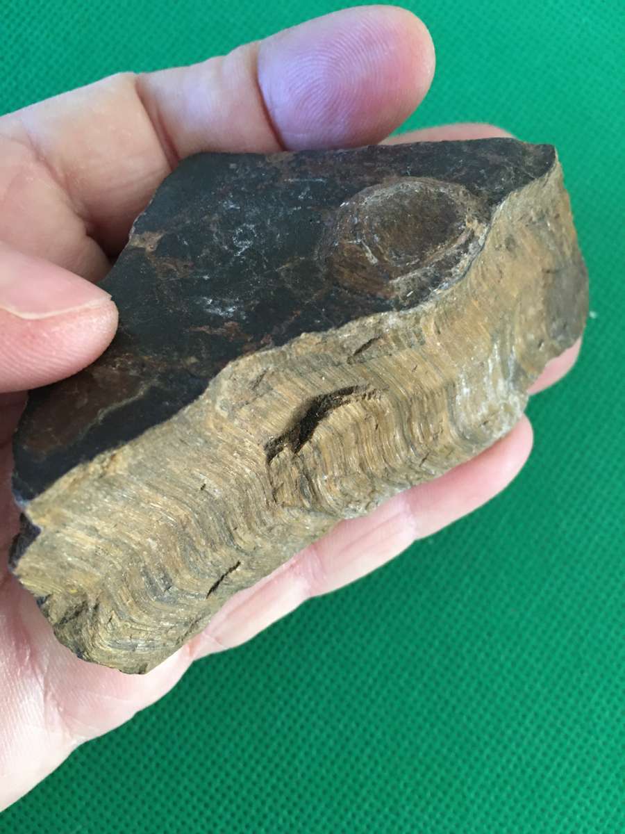 LOVELY LARGE ROUGH TIGER'S EYE