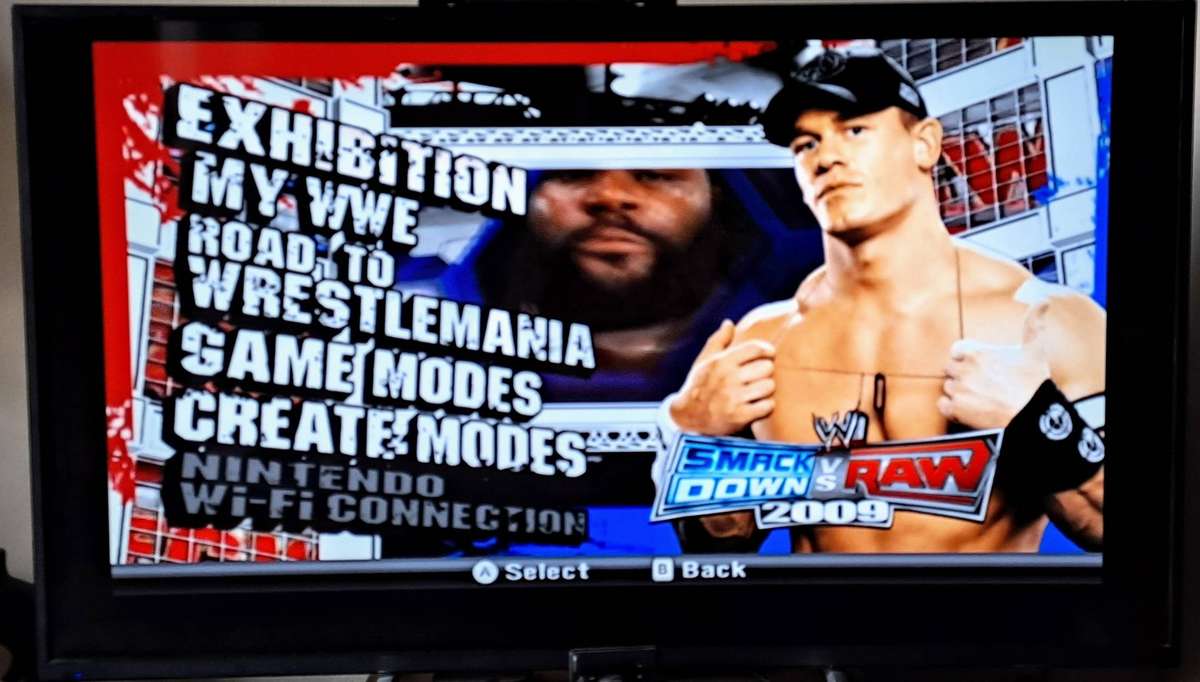 WWE Smackdown vs Raw 2009 - Nintendo Wii Game