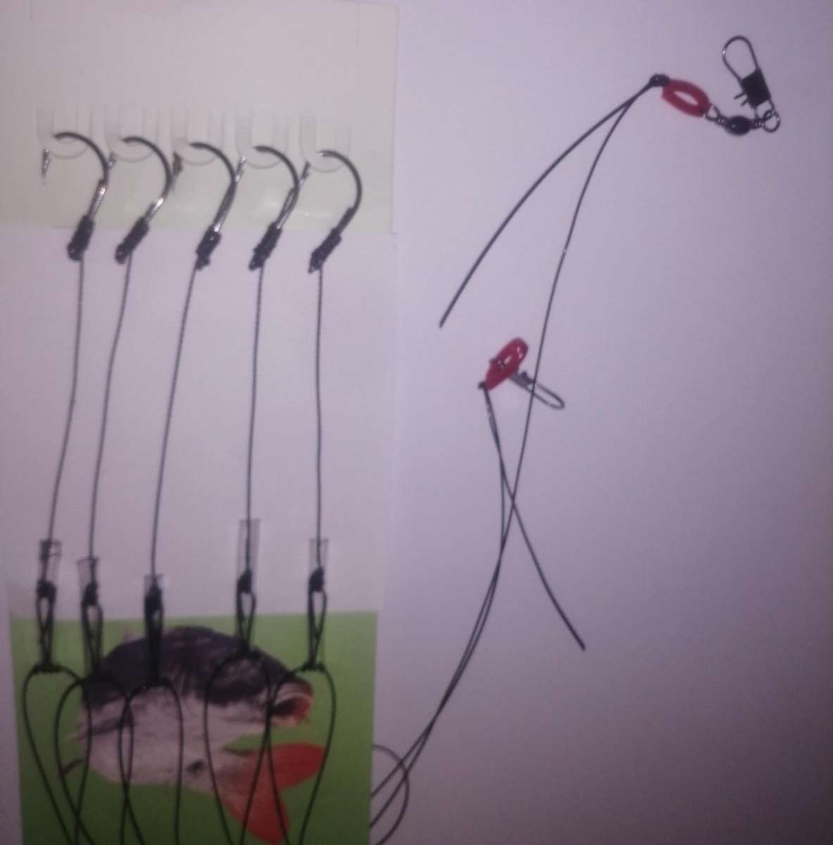 Carp Kit multifunctional 5 Piece strop, made with 5 x size 12 hooks