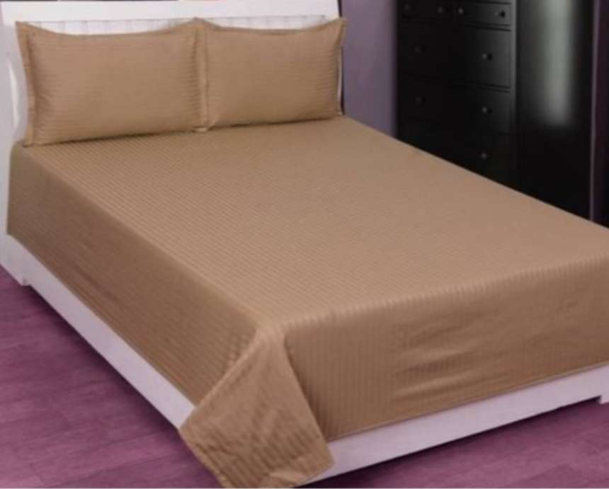 4pc Queen Sheet Set, 1 Fitted sheet, 1 Flat Sheet and 2 Std Pillow cases, Beige/Natural, Lined