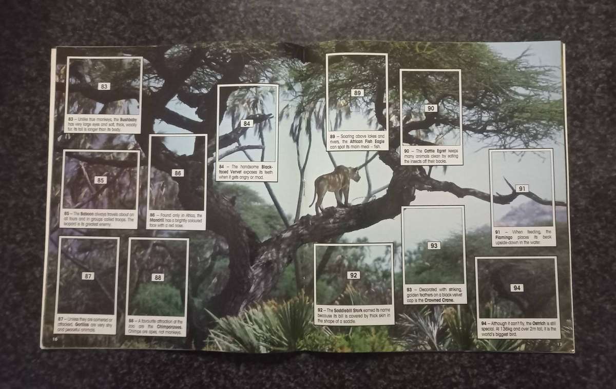 ANIMAL OF THE WORLD COLLECTABLE STICKERS AND BOOKIE