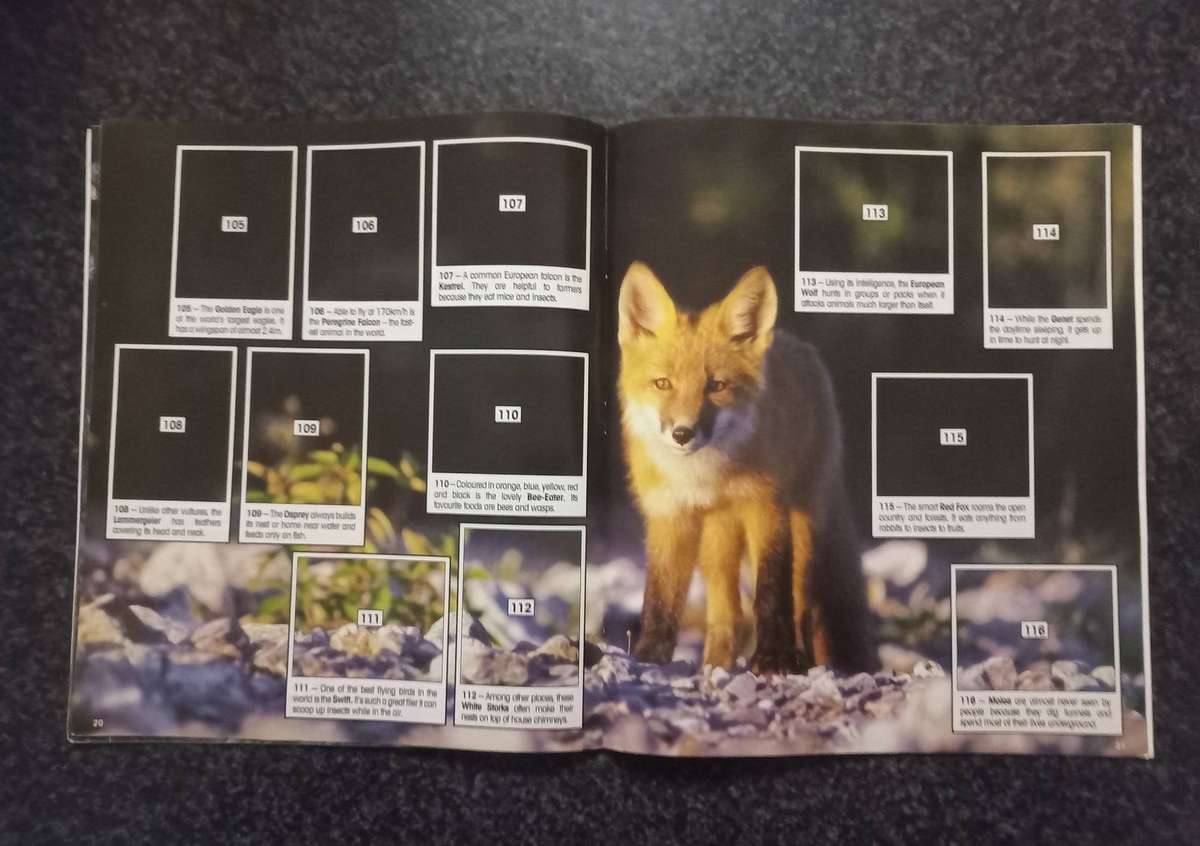 ANIMAL OF THE WORLD COLLECTABLE STICKERS AND BOOKIE