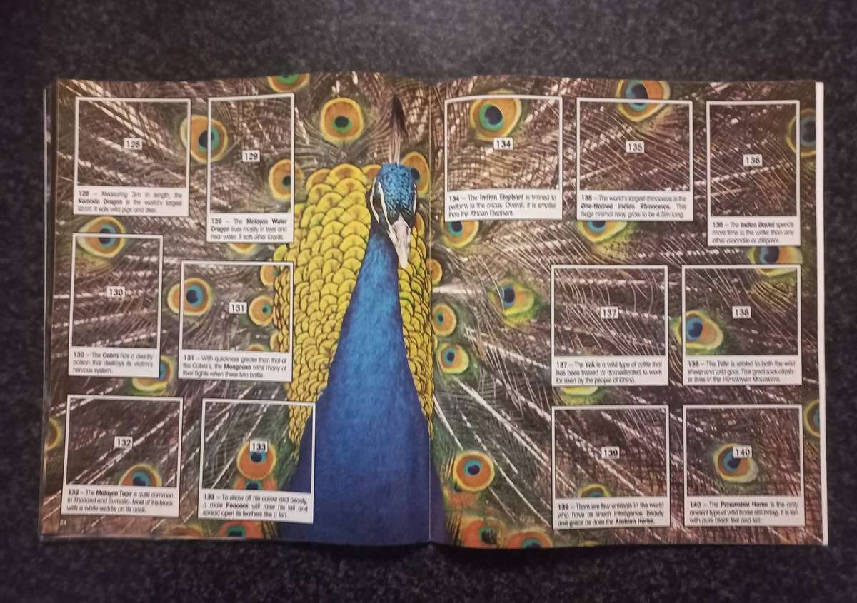 ANIMAL OF THE WORLD COLLECTABLE STICKERS AND BOOKIE