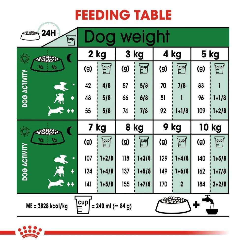 Royal Canin Mini Ageing +12 1.5kg