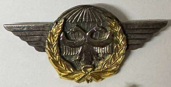 SADF - Air Force (SAAF) Task Force Qualification Badge