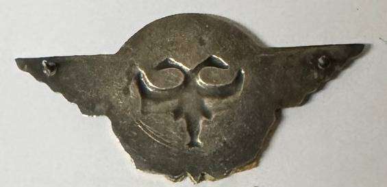 SADF - Air Force (SAAF) Task Force Qualification Badge