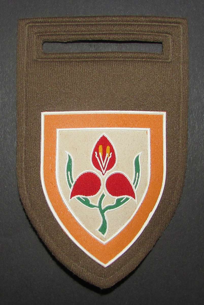 SADF - Military Academy Tupper Flash