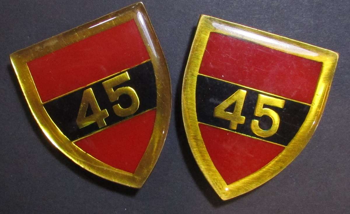 SADF - 45 Survey Squadron Shoulder Flash Pair