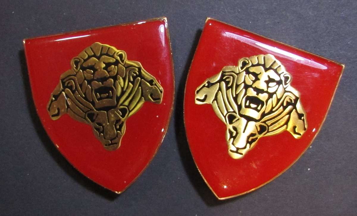 SANDF - Pride of the Nation Shoulder Flash Pair