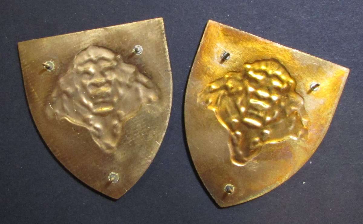 SANDF - Pride of the Nation Shoulder Flash Pair