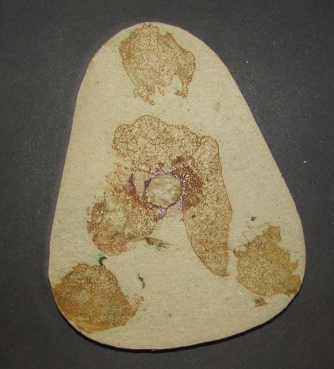 SADF - Sergeant Major of the Army Rank Badge