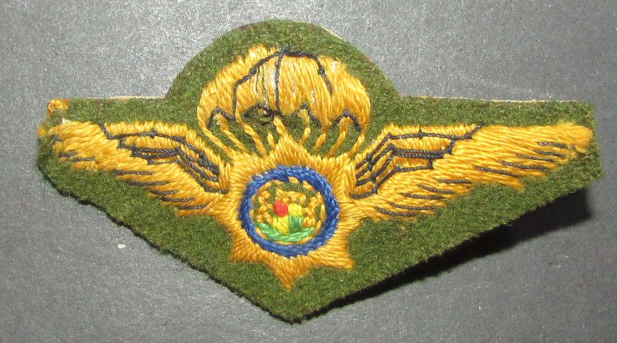 SAP - Task Force Wing