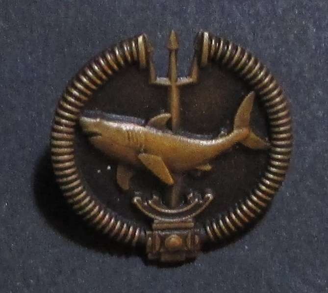 SANDF - Attack Diver Mess Dress Badge