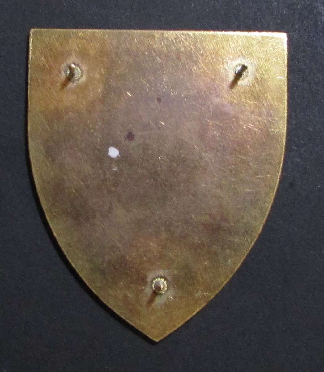 SADF - 6 SA Infantry Battalion Shoulder Flash