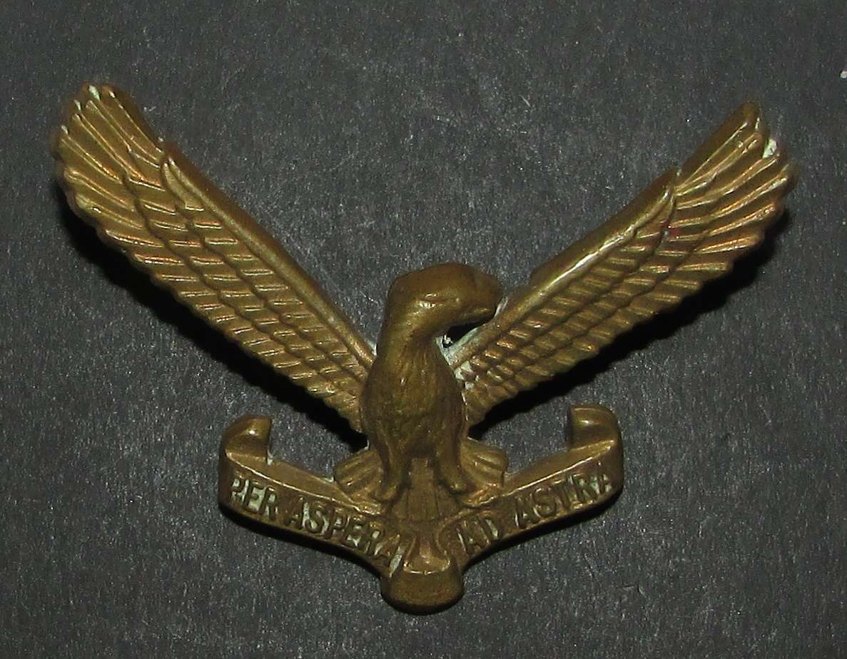 SADF - Air Force Cap Badge