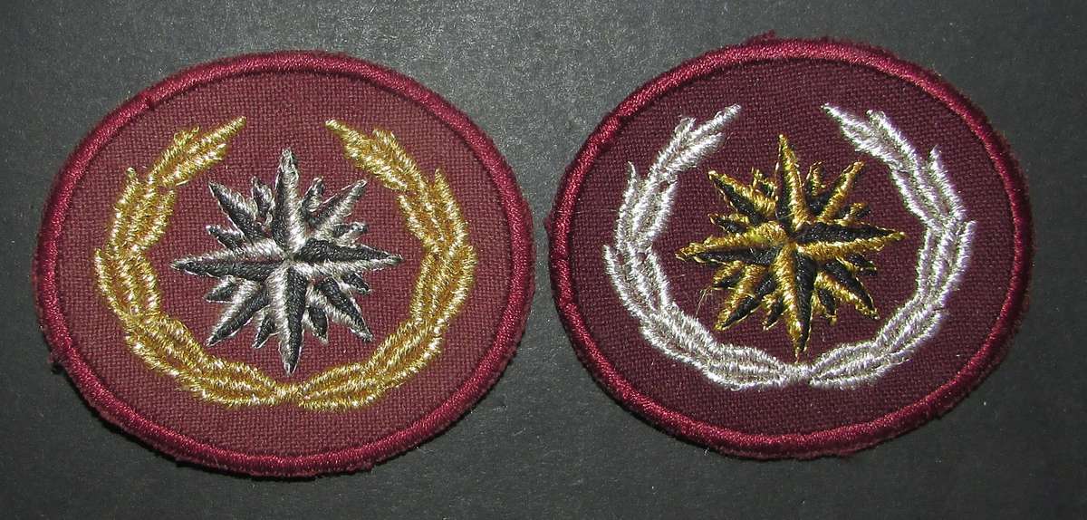 SADF - Special Forces (Recce) Beret Badges ( 2 Variations )