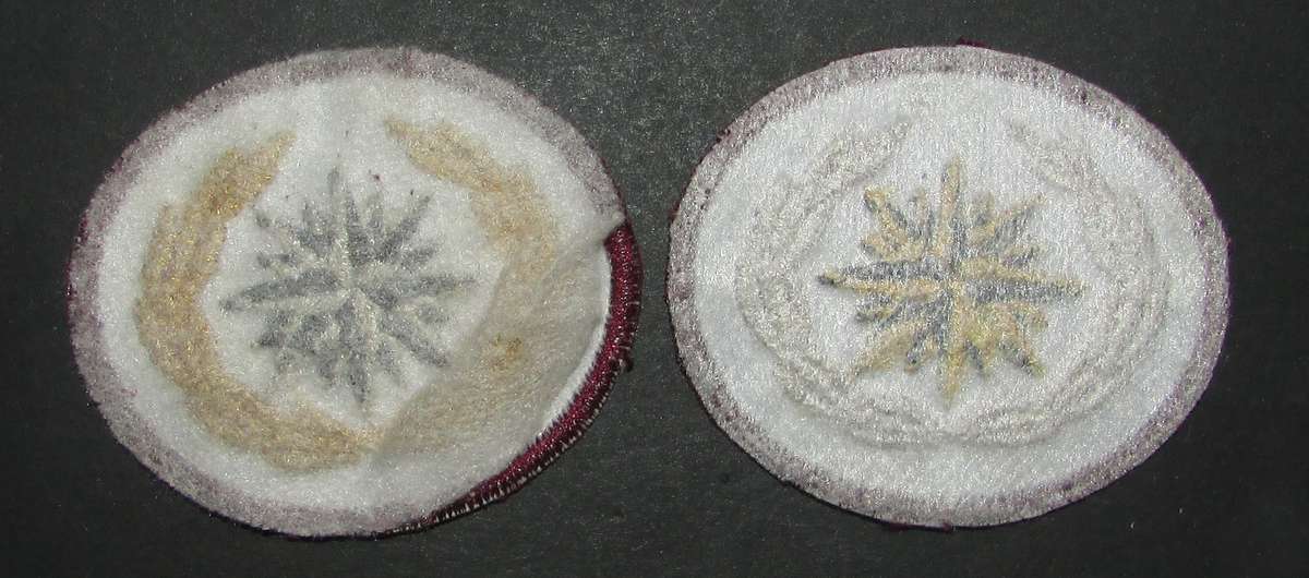 SADF - Special Forces (Recce) Beret Badges ( 2 Variations )