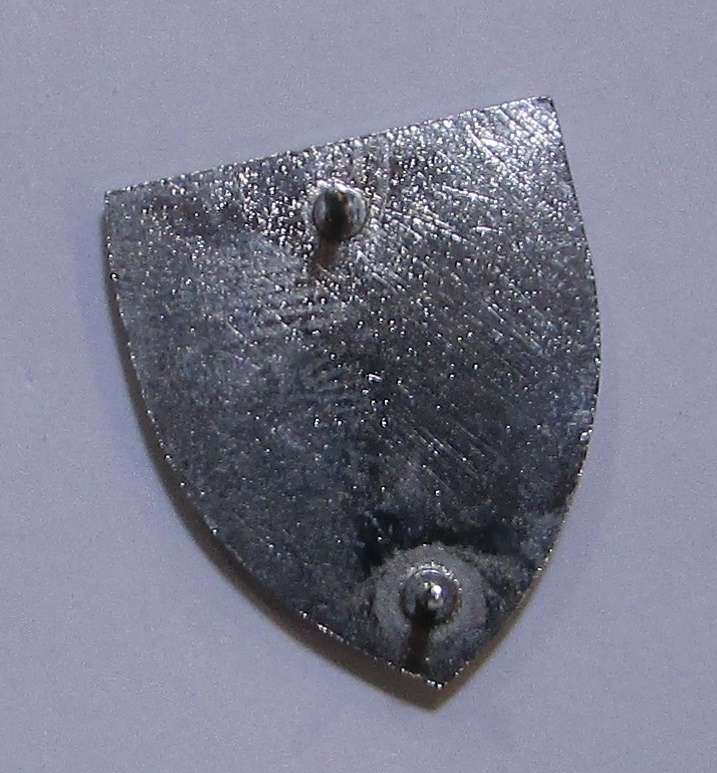 SADF - 5 Special Forces ( Recce ) Fob Flash