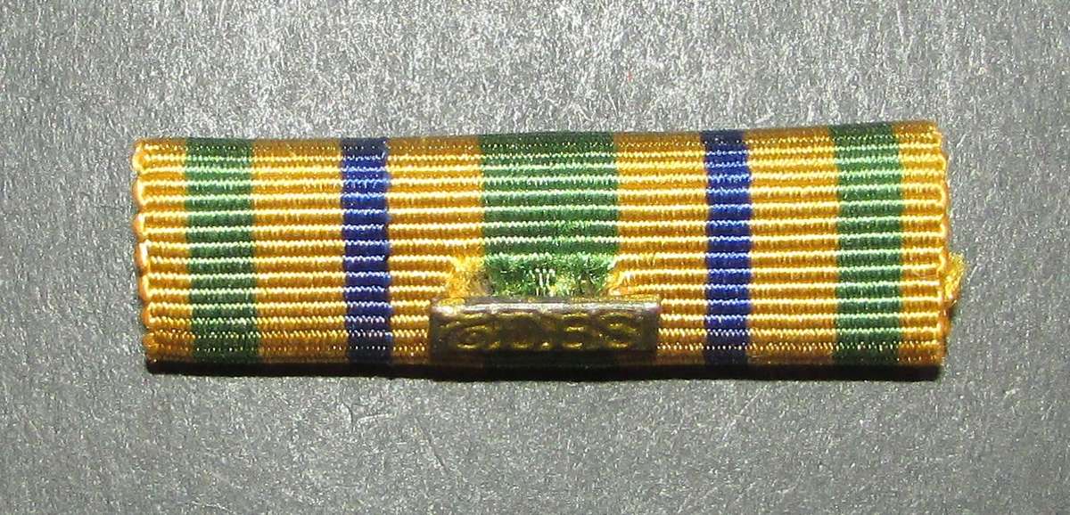 SAP - Full Size Faitfull Service Medal Bar with Ribbon Device