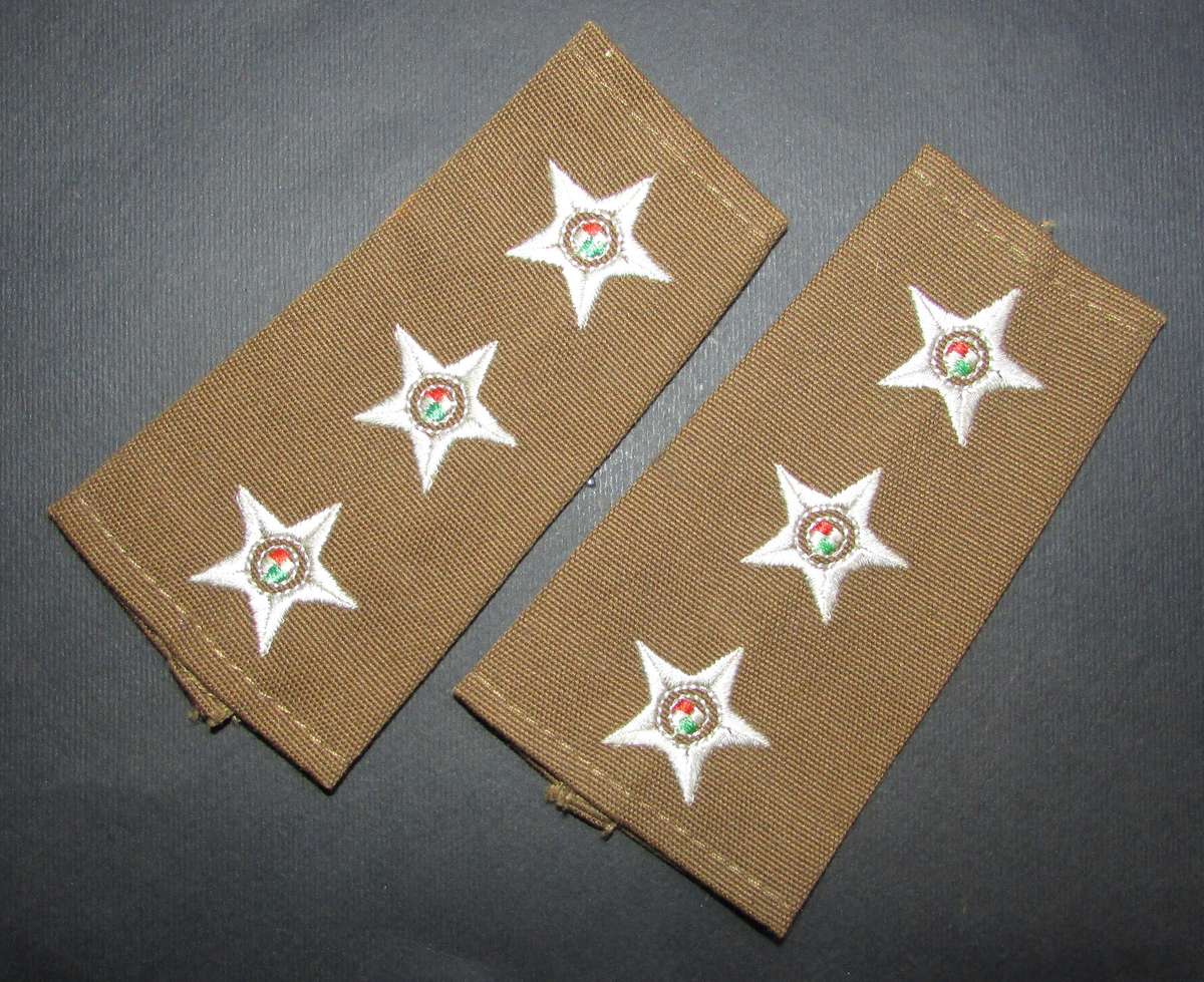 SANDF - Captain Slip on Ranks