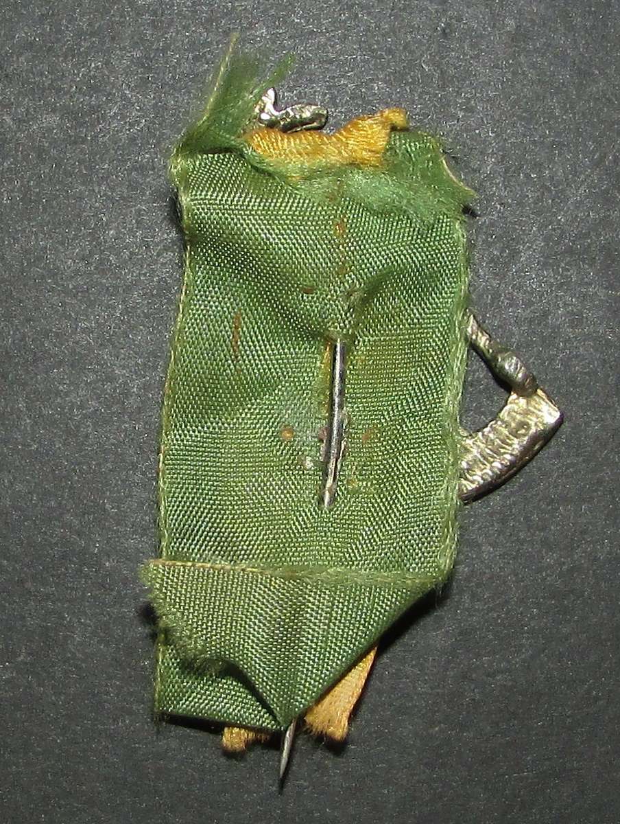 1960 Springbok Rugby Stick Pin Badge