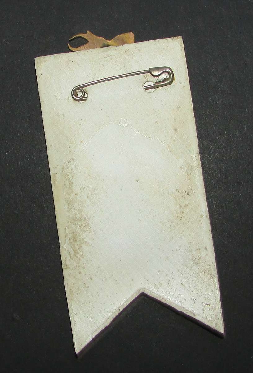 Vintage New Zealand/Springboks Rugby Stick Pin Badge