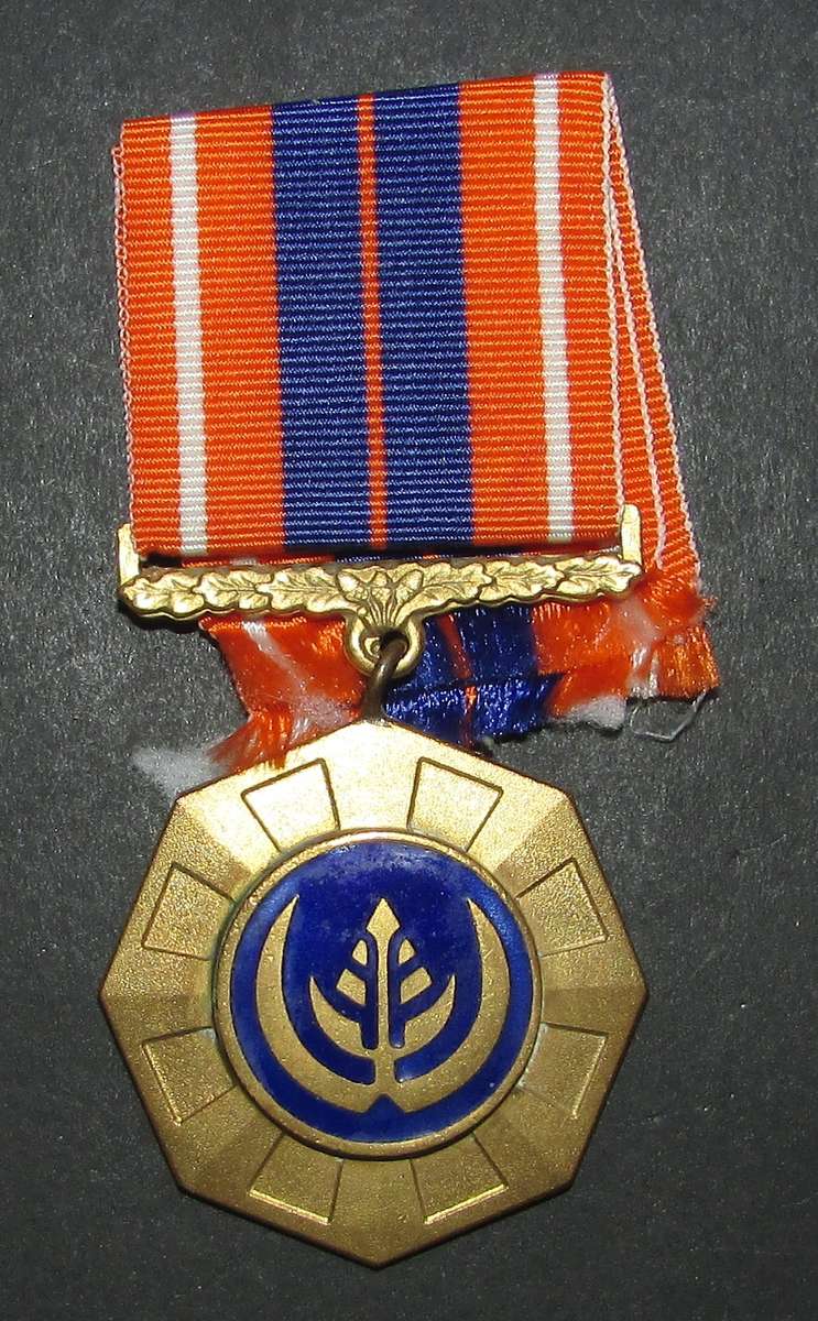 SADF - Full Size Pro Patria ( Low Number 803 )