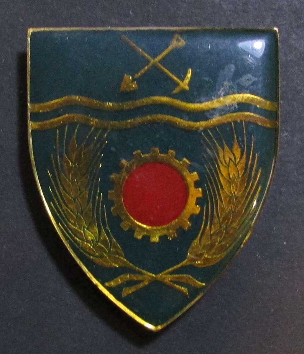 SADF - N/West Maintenance Shoulder Flash