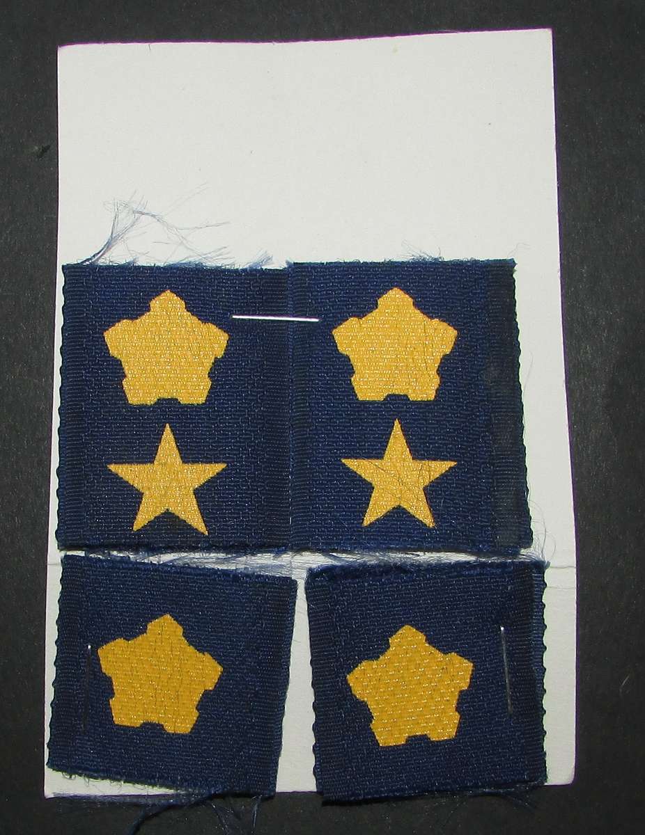 South AFrican Rank Badges