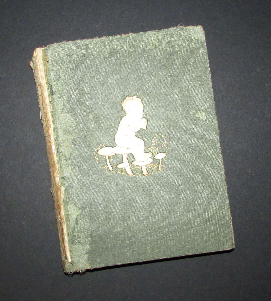 Peter Pan in Kensington Gardens / With Twenty-Four Drawings by Arthur Rackham