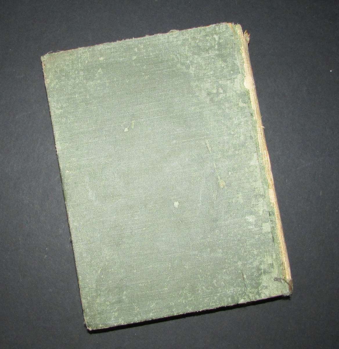 Peter Pan in Kensington Gardens / With Twenty-Four Drawings by Arthur Rackham