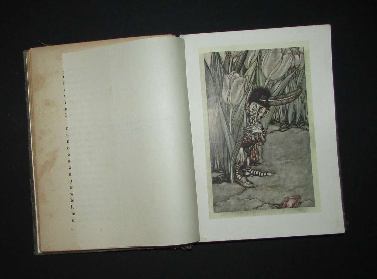 Peter Pan in Kensington Gardens / With Twenty-Four Drawings by Arthur Rackham