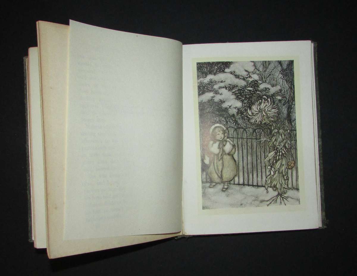 Peter Pan in Kensington Gardens / With Twenty-Four Drawings by Arthur Rackham