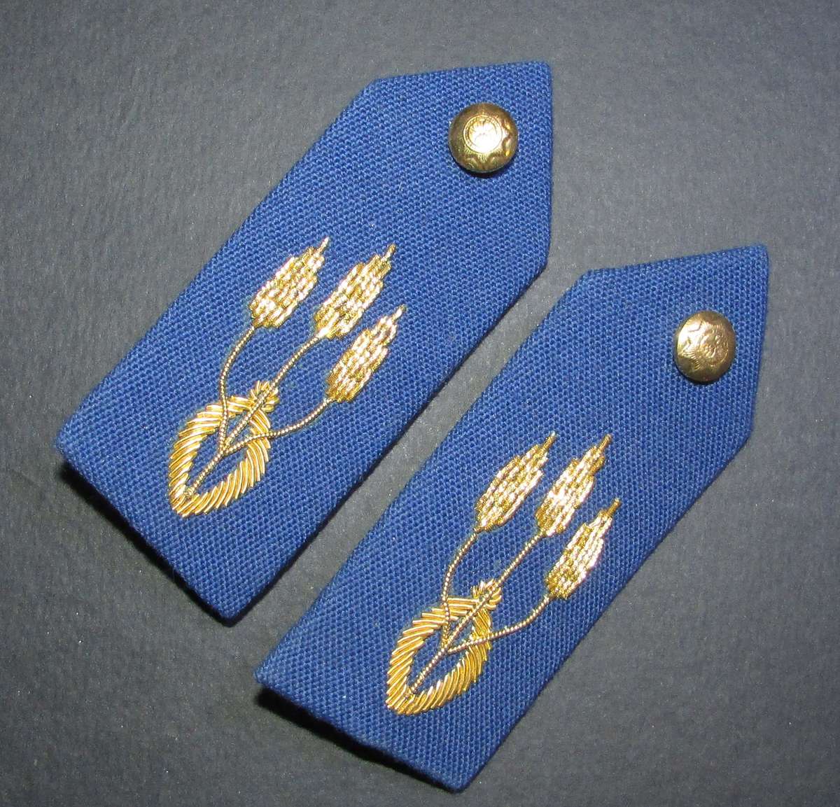 South African Officers Gorgets