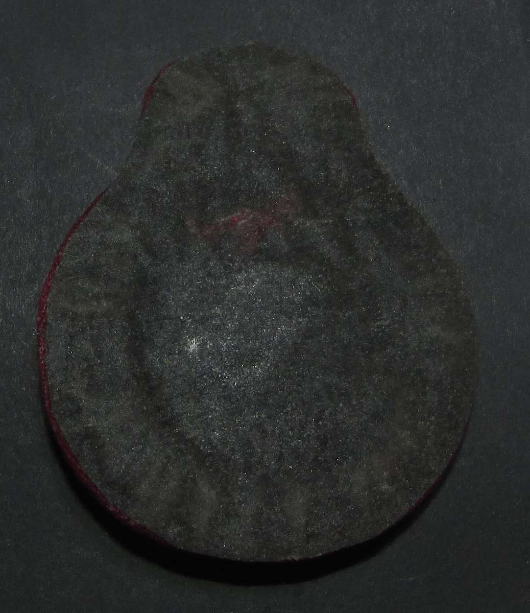 SADF - Medical Corps Generals Cap Badge