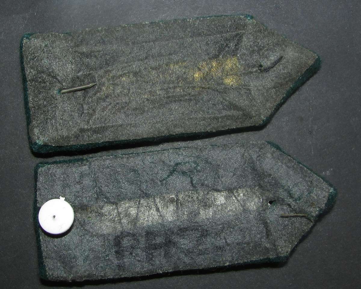 South African Correctional Services Officers Gorgets