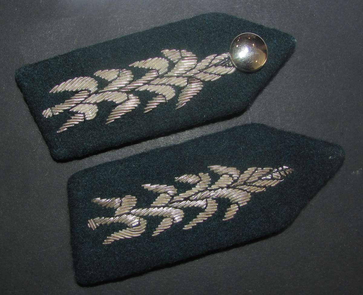 South African Homelands - Officers Gorget Pair