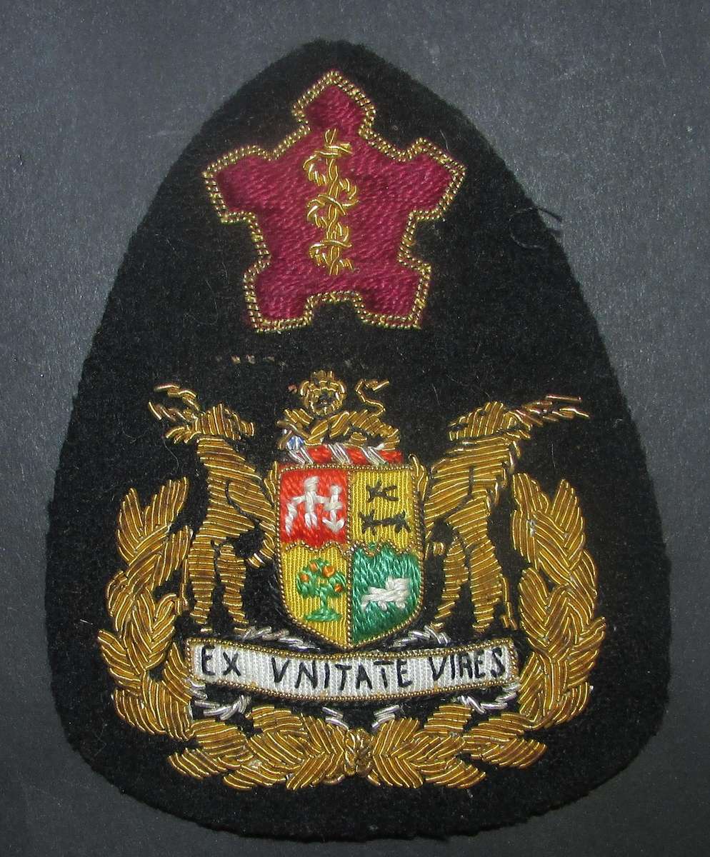 SADF - Sergeant Major of the South African Medical Services Bullion Rank Badge
