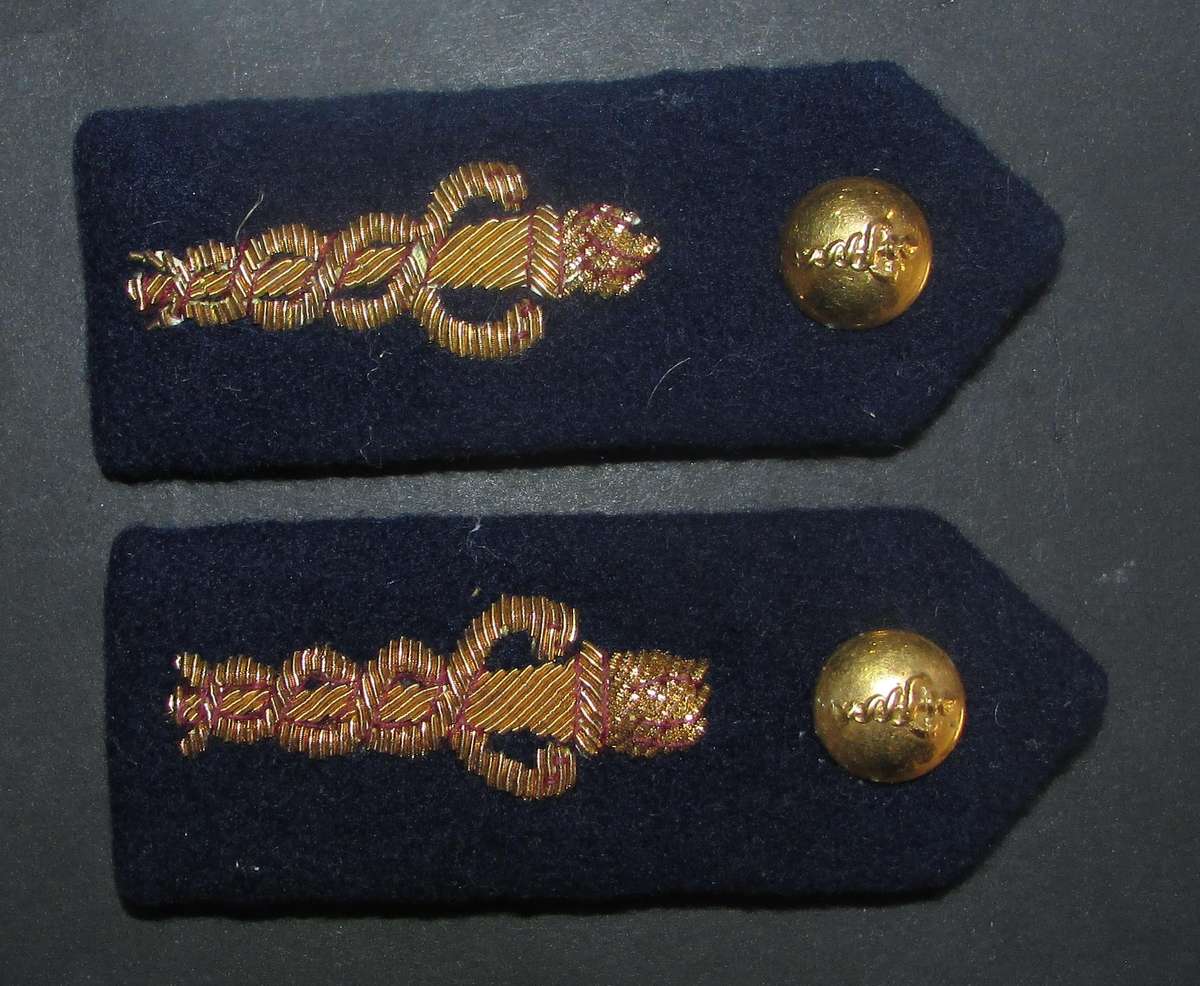 South African Ambulance Services Gorgets